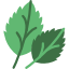 basilic