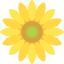 lin jaune