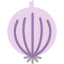 oignon